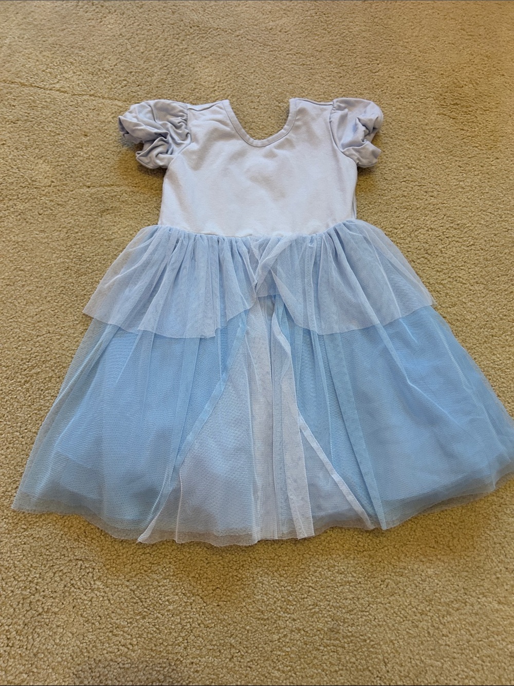 Hanna Andersson Light Blue Tulle Dress with Puff Sleeves